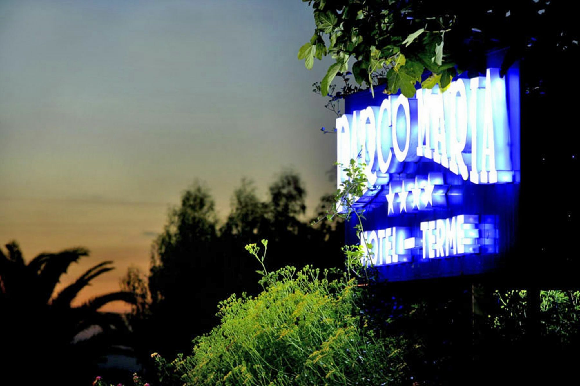 Hotel Parco Maria Terme Forio  Bagian luar foto