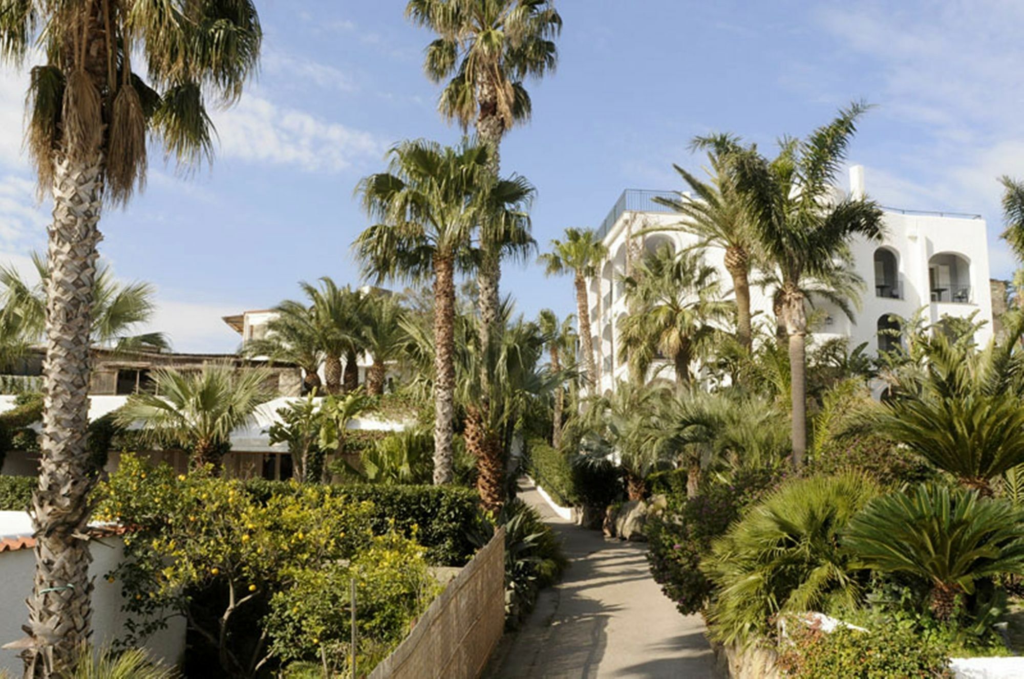 Hotel Parco Maria Terme Forio  Bagian luar foto