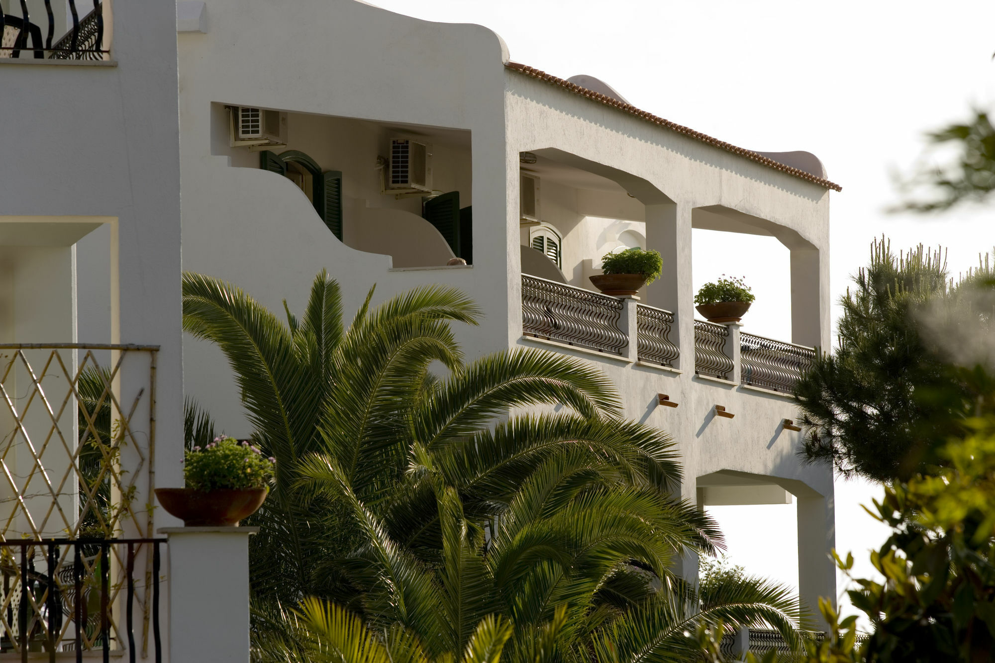 Hotel Parco Maria Terme Forio  Bagian luar foto